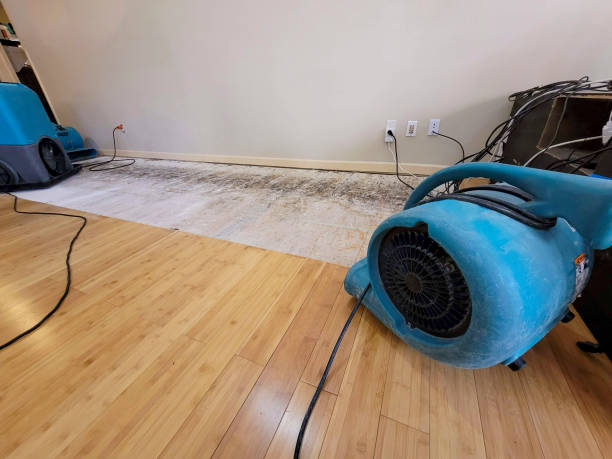 Professional Sewage Cleanup technician working in DeLand, FL